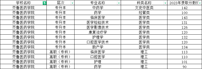 齐鲁医药学院.jpg