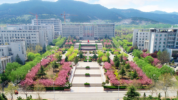 未标题-1.png